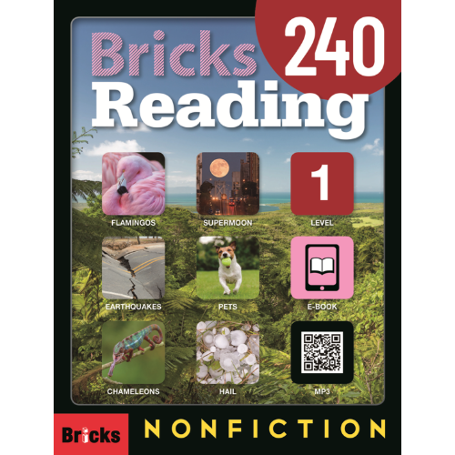 Bricks 리딩 Nonfiction